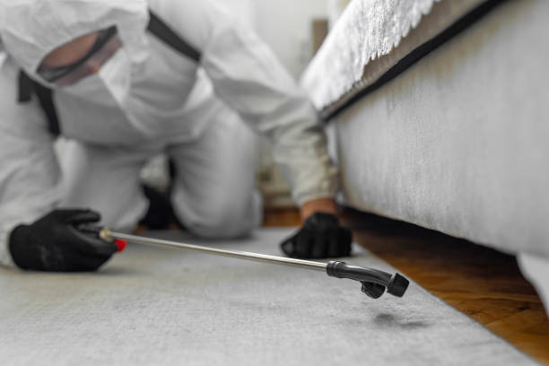 Professional Termite Control technician working in Deer Park, OH