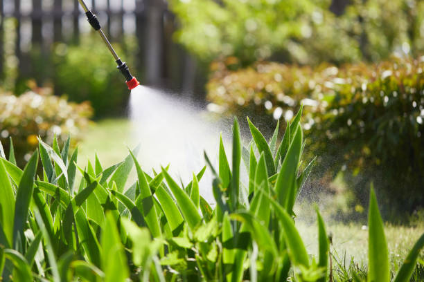 24/7 Emergency Termite Control experts in Deer Park, OH